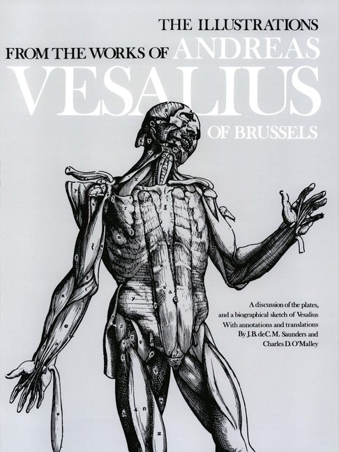 Illustrations from the works of andreas vesalius of brussels