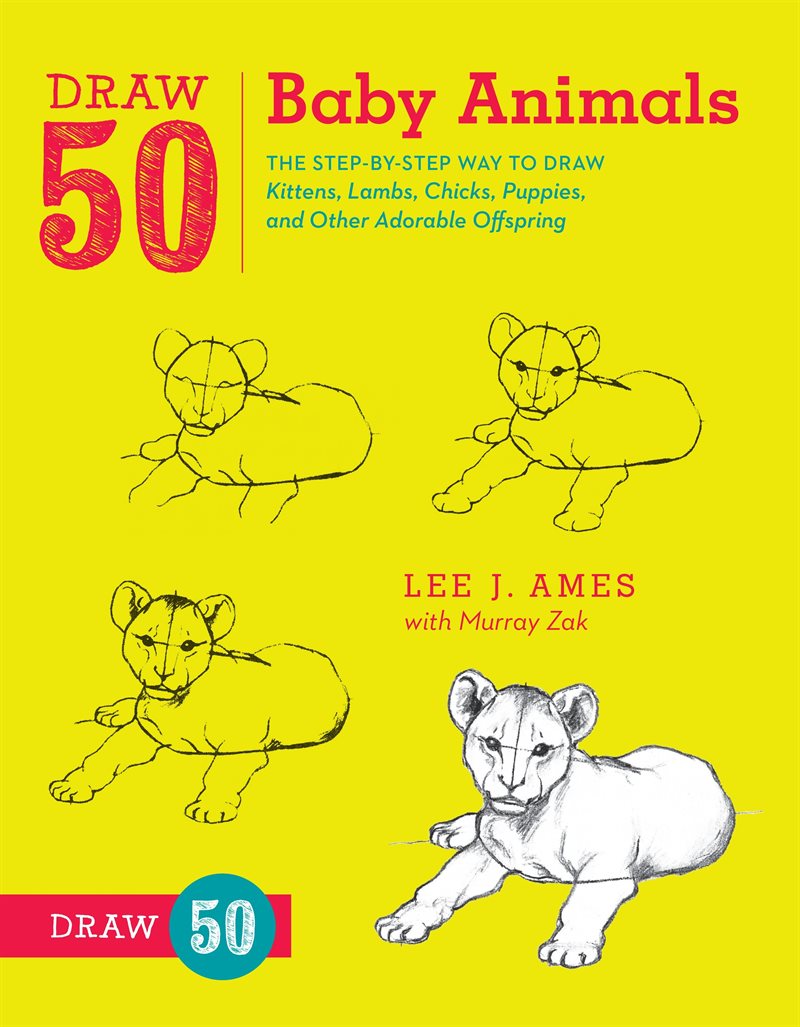 Draw 50 baby animals