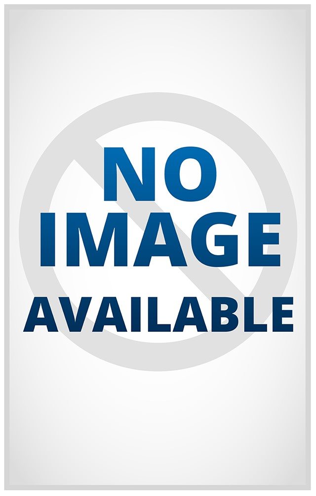 Ends Of Painting : Art in the 1960s and 1970s