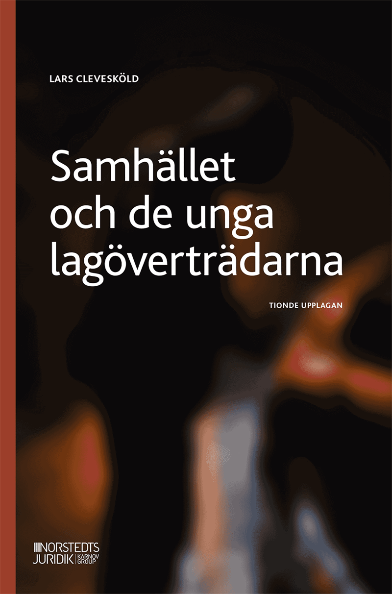 Samhället och de unga lagöverträdarna