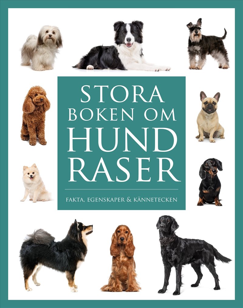 Stora boken om hundraser : Fakta, egenskaper och kännetecken