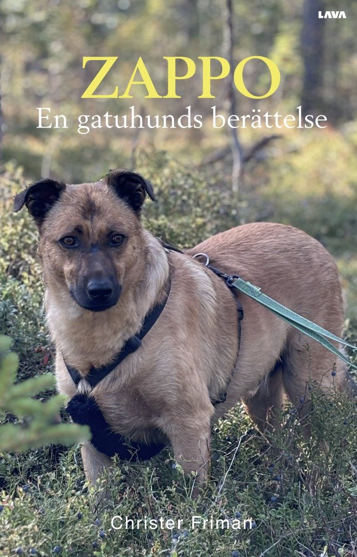 Zappo - En gatuhunds berättelse