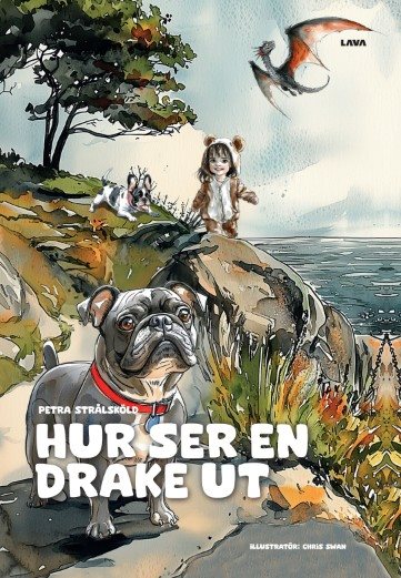 Hur ser en drake ut