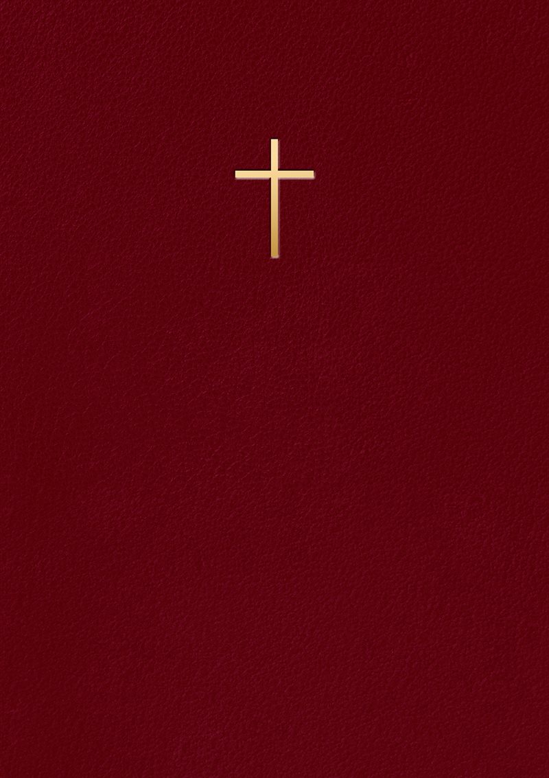 Bibel 2026 Vinröd konstskinn