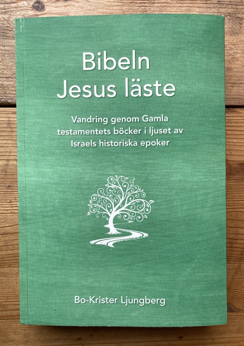 Bibeln Jesus läste  Vandring genom Gamla testamentets böcker i ljuset av Israels historiska epoker