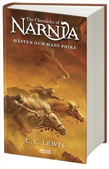 Hästen och hans pojke